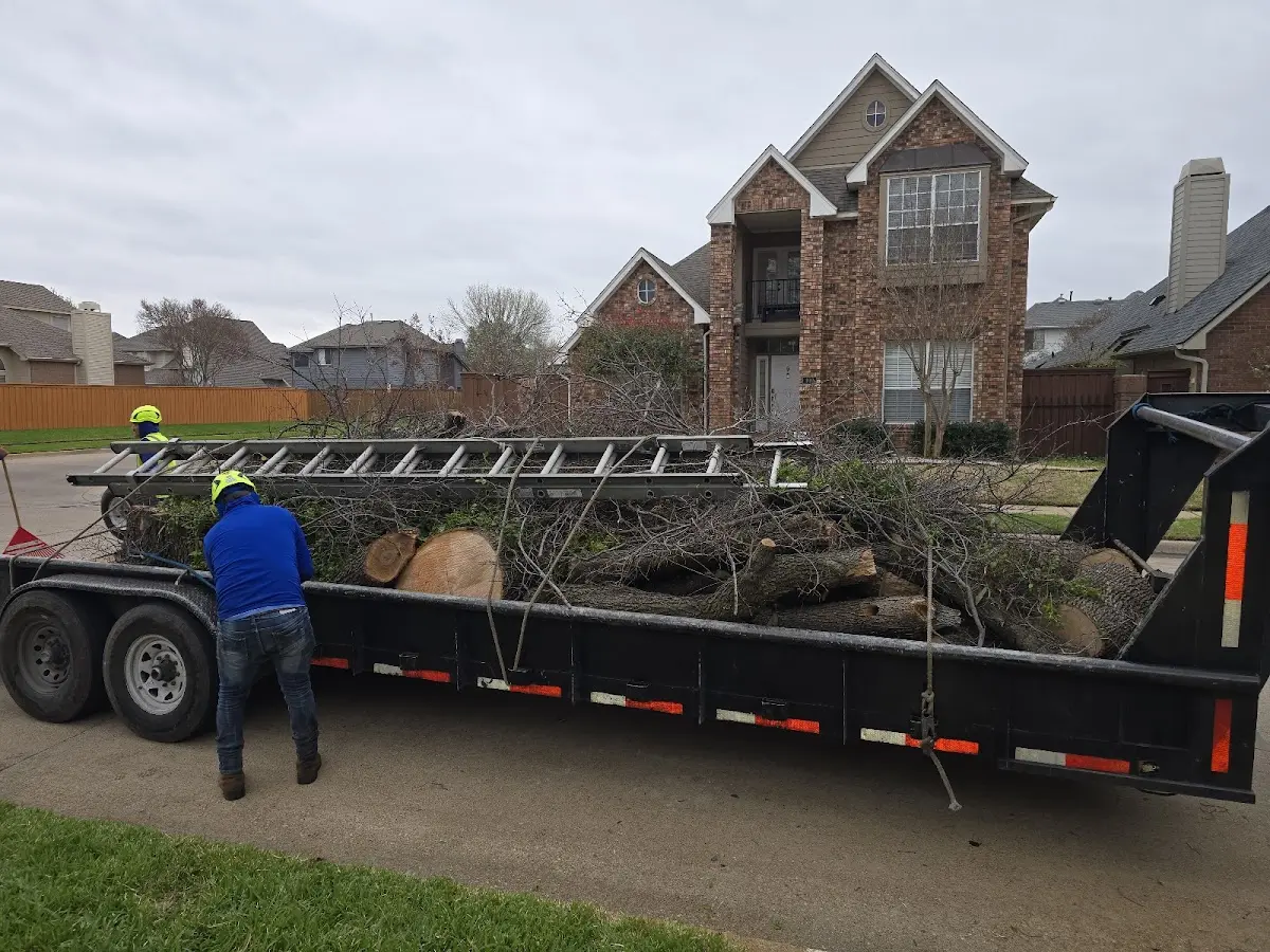 Expert Tree Fertilization with proper safety equipment in Hansville